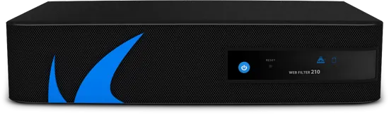 Barracuda Web Security Gateway 210 - BYF210A