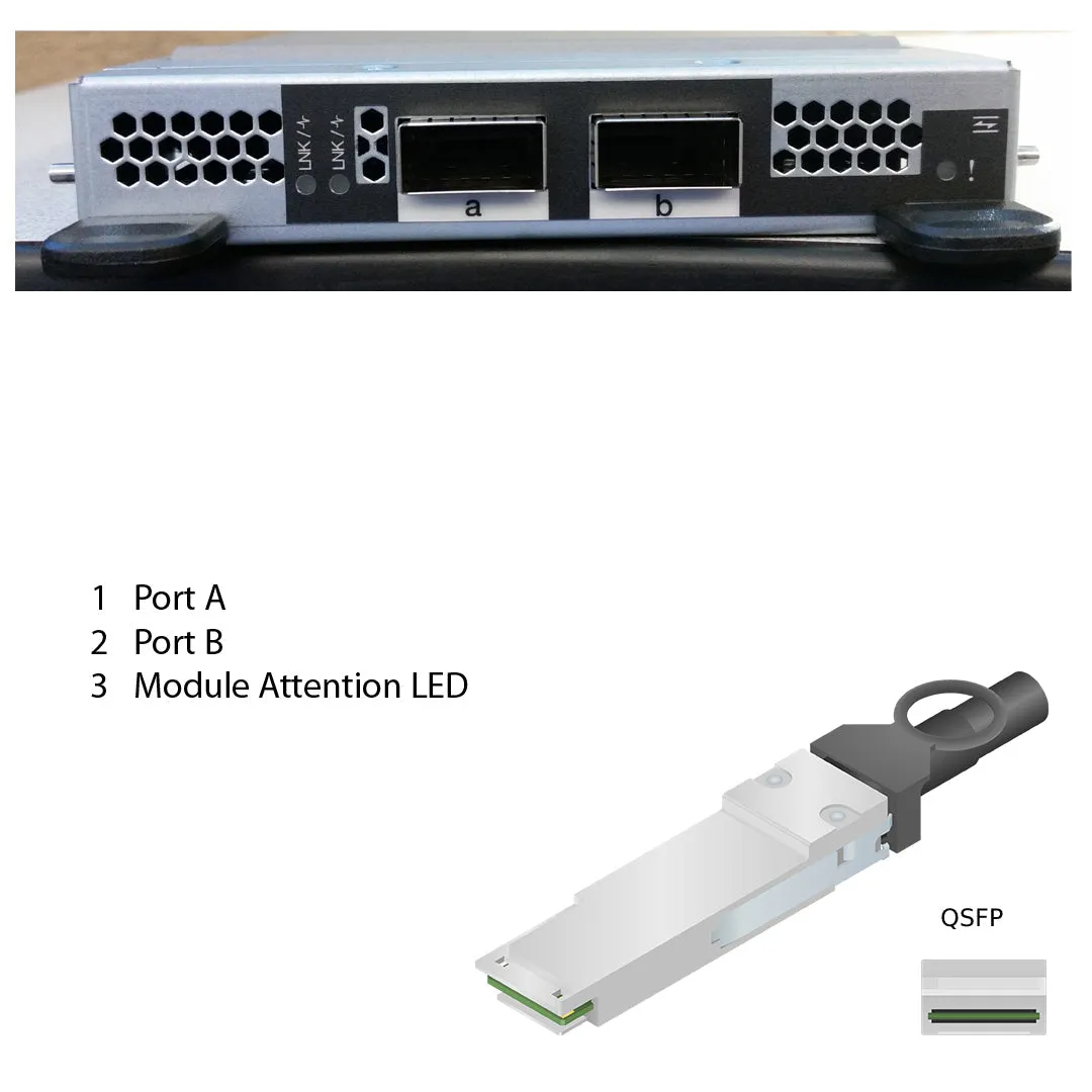 NetApp Adapter X91146A (ONTAP) IO Module bus with plug QSFP28 (IO Module,2p MC IP,40GbE QSFP ,100GbE QSFP28)