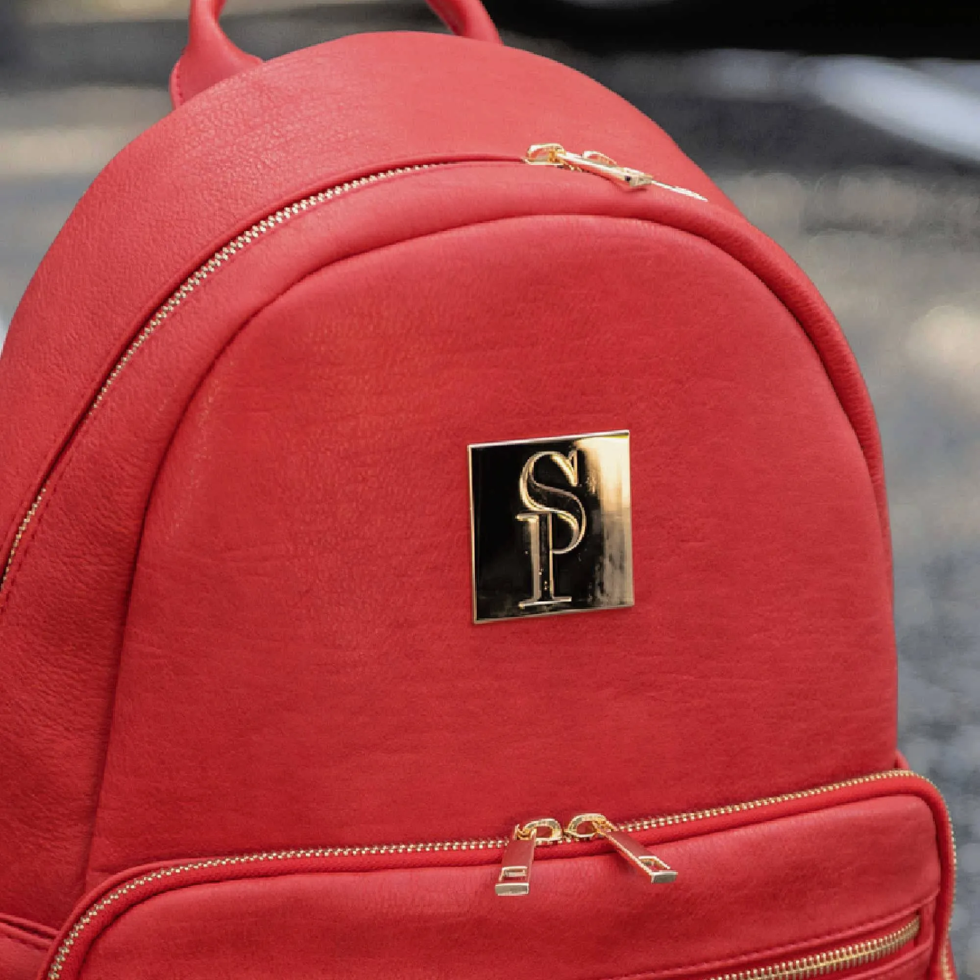 Red Carrier Leather Backpack