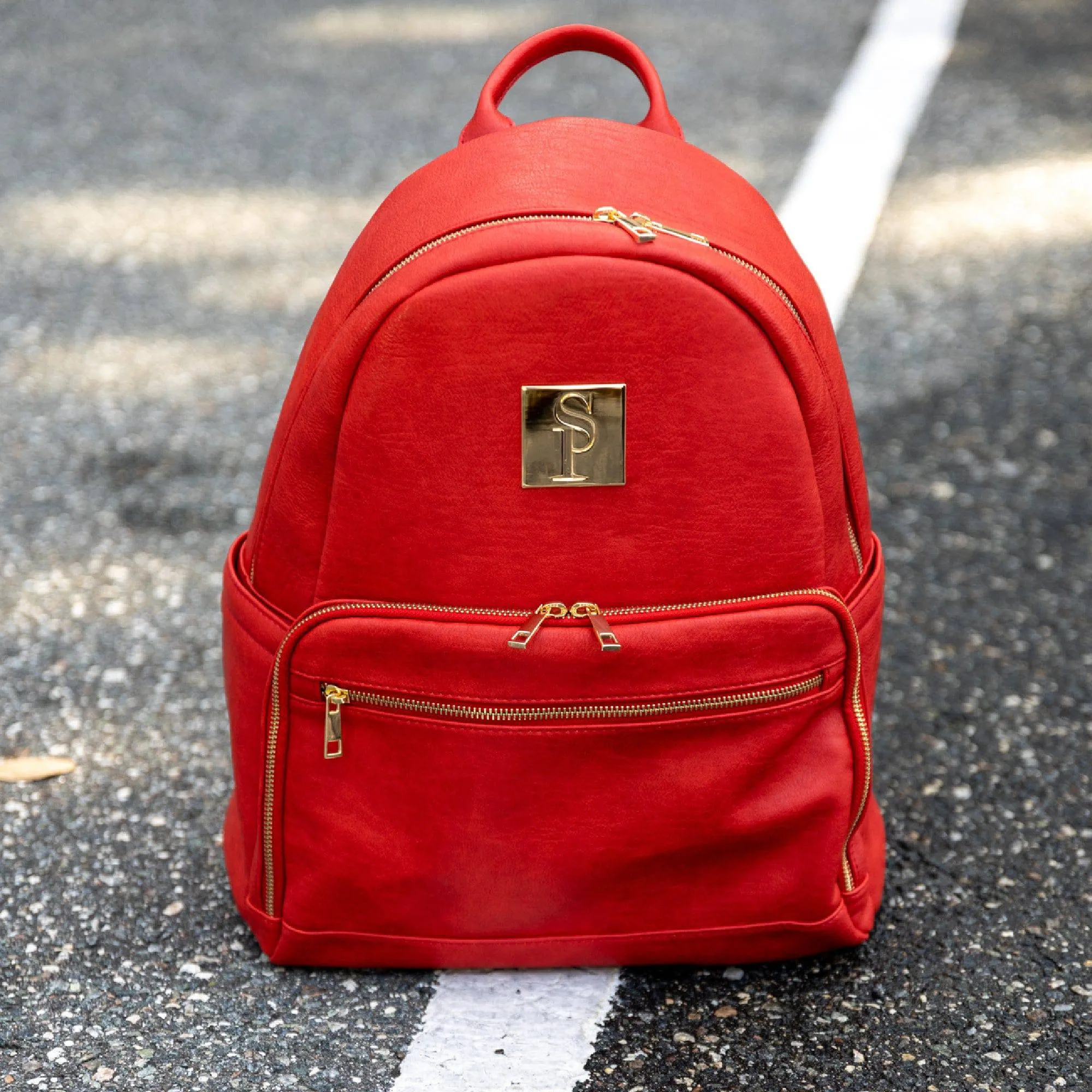 Red Carrier Leather Backpack