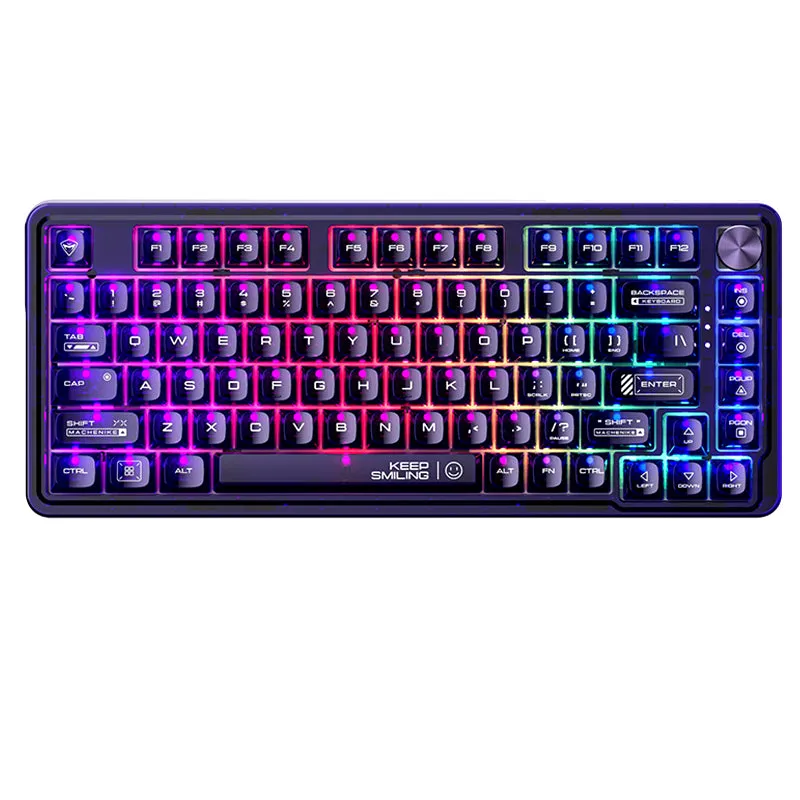 WhatGeek x Machenike K500F-B81 RGB Clear Mechanical Keyboard