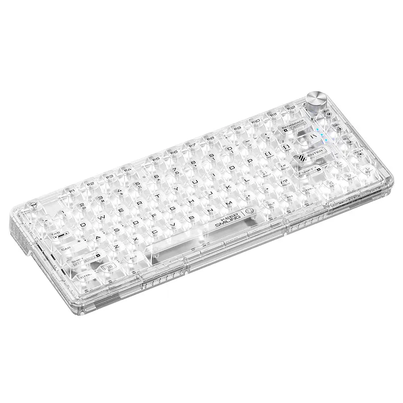 WhatGeek x Machenike K500F-B81 RGB Clear Mechanical Keyboard